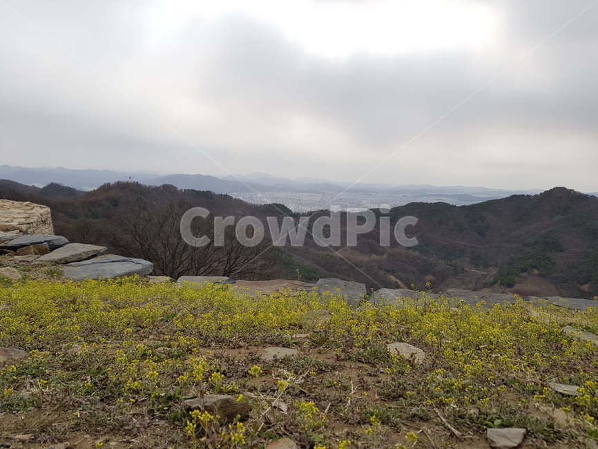 산,봄,자연,민들레,풀