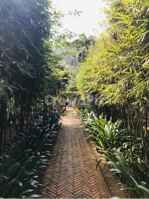풍경,자연,나무,평화,감성,outdoors,옥외,garden,정원,식물,자연,plants,nature,나무,trees,wood