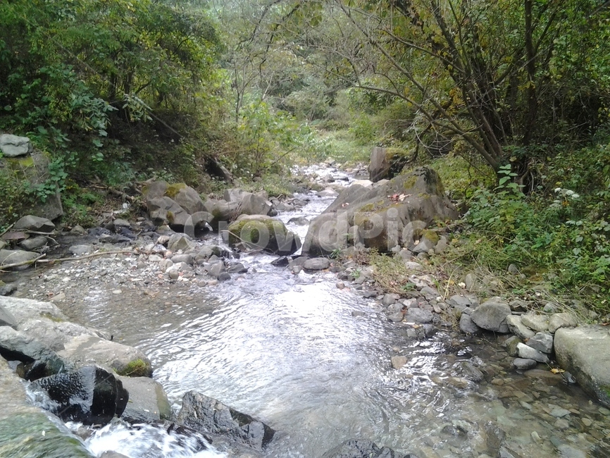 자연,물,냇가,흐름,풍경,자연,풍경,nature,landscape