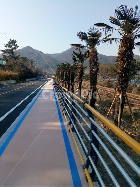 도로,road,자전거도로,자전거길,레일바이크,교통,교통수단,traffic,transportation