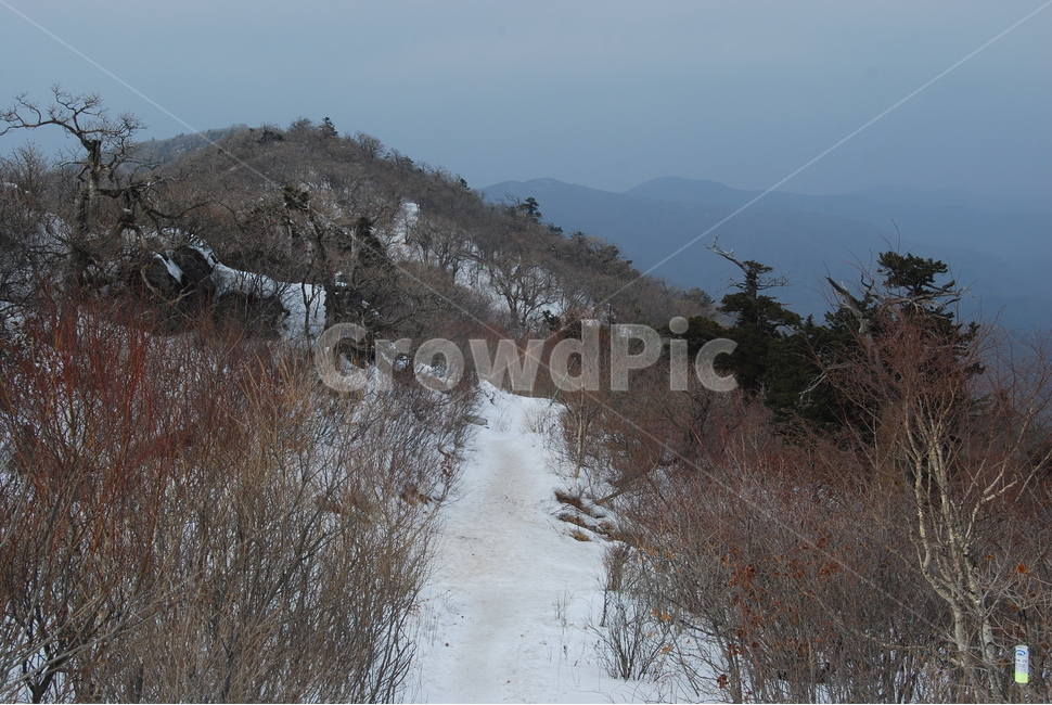 겨울,산,하늘,눈,등산로,겨울,계절,winter,season,자연,풍경,nature,landscape,한국자연풍경,한국자연경관,korea nature landscape,plant,식물,tree,나무,outdoors,옥외