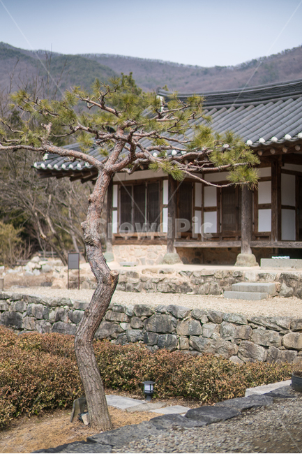 한국전통,기와,한옥,기와집,건축,건물,한국전통,한국문화,korean traditional,korean culture,건축물,건물외관,exterior,building,structure,architecture,construction
