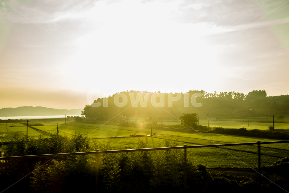 자연,풍경,국내,노을,landscape,한국자연풍경,햇빛,여름,summer,sunshine,sunset,nature,sky,하늘,자연,풍경,nature,landscape,light,빛,flare,플레어,sunlight