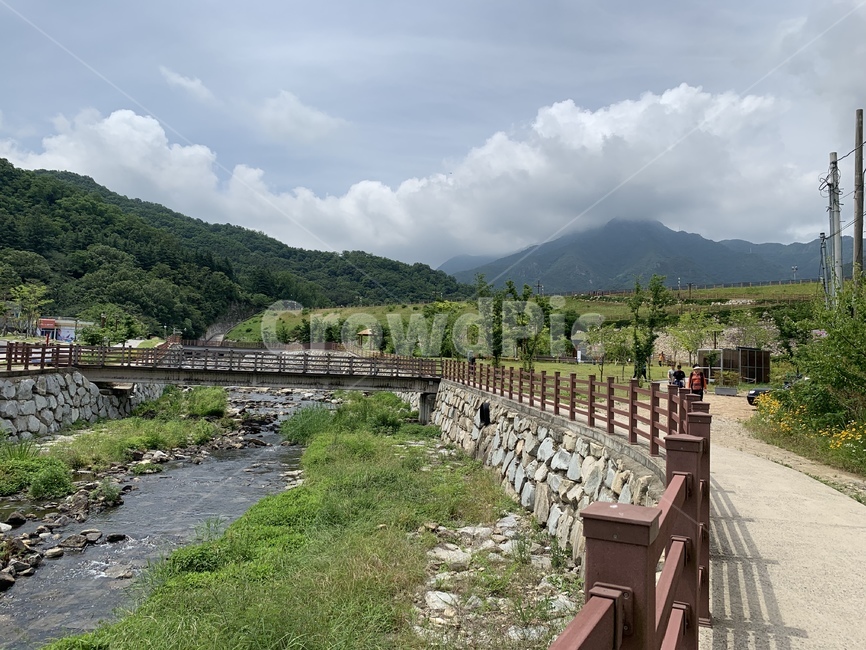 자연,산책로,구미,금오산,구미금오산,여름,날씨,하늘,풍경,산책