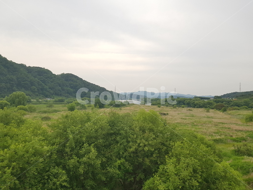 산,자연,나무,하늘,풀,농촌