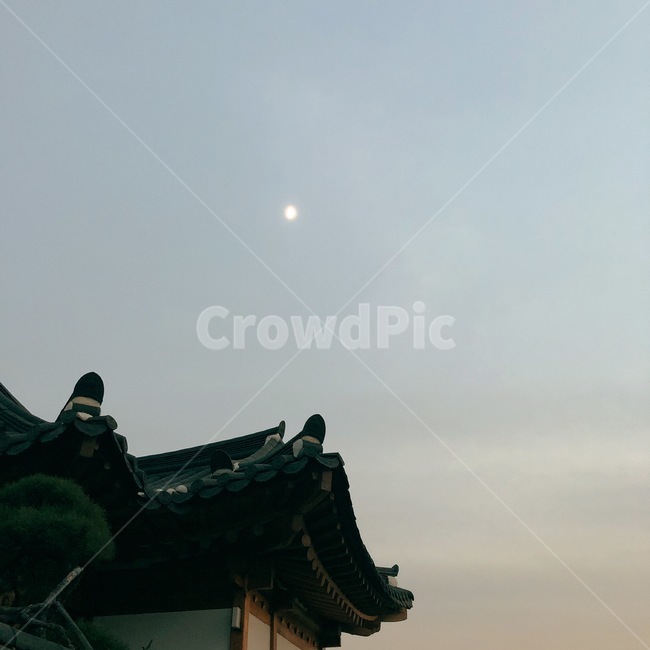 한옥,풍경,자연,저녁하늘,달