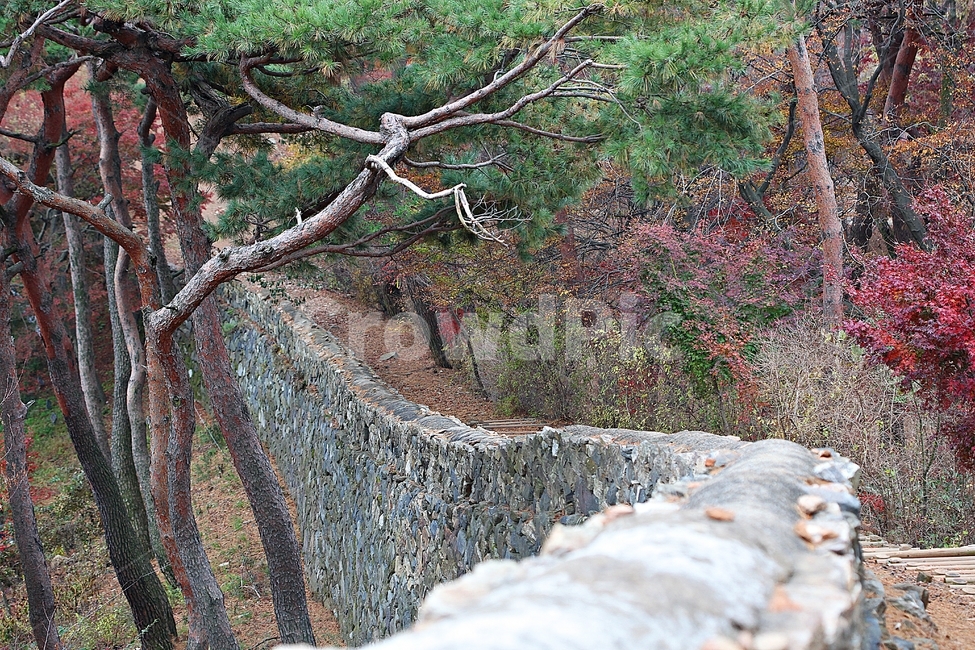 전등사,성,성곽,산성,둘레길,길,숲,숲길,담,돌담,가을,자연,풍경,벽,방어벽,낙엽,단풍,가을,계절,fall,autumn,season,식물,자연,plants,nature,나무,trees,wood