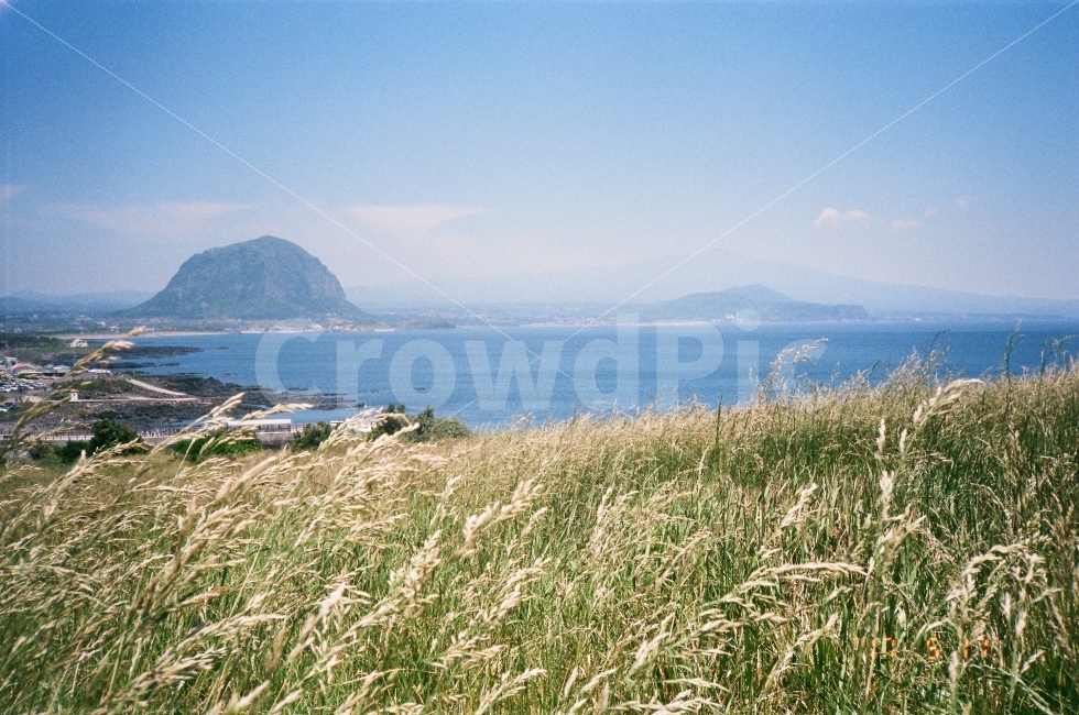 제주도,산방산,송악산,제주,바다,필름,필름사진,asfilm,억세,둘레길,한라산,풍경,풍경사진,감성,감성사진,자연,풍경,nature,landscape,한국자연풍경,한국자연경관,korea nature landscape,제주도,jeju,jeju island,grass,잔디,plant,식물