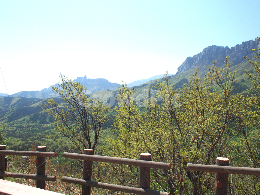 산,나무,산길,전망대,mountain,tree