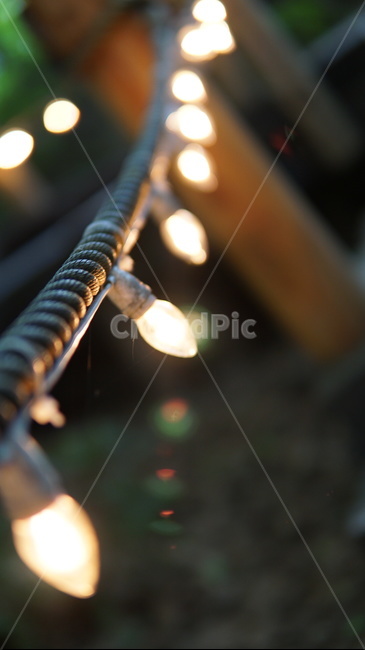 전구,light,빛,보케,bokeh,lightbulb,장식,decoration,감성,풍경,야경,밤,풍경,nightscape,night,landscape