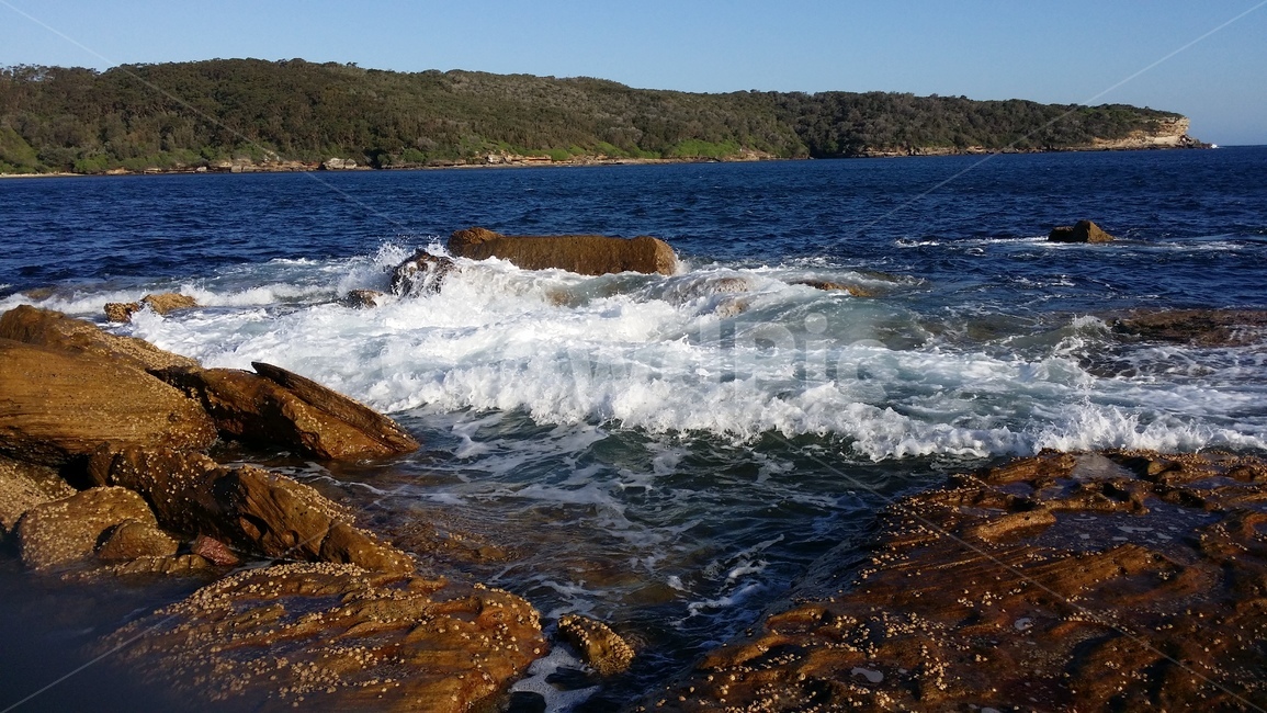 호주,시드니,라페루즈,바다,섬,파도,laperouse,베어아일랜드,sydney,자연,풍경,nature,landscape,해외,외국,세계,foreign,oversea,world,세계자연풍경,해외자연풍경,외국자연풍경,world nature landscape,ocean,대양,sea,water,물,outdoors,옥외,promontory,곶