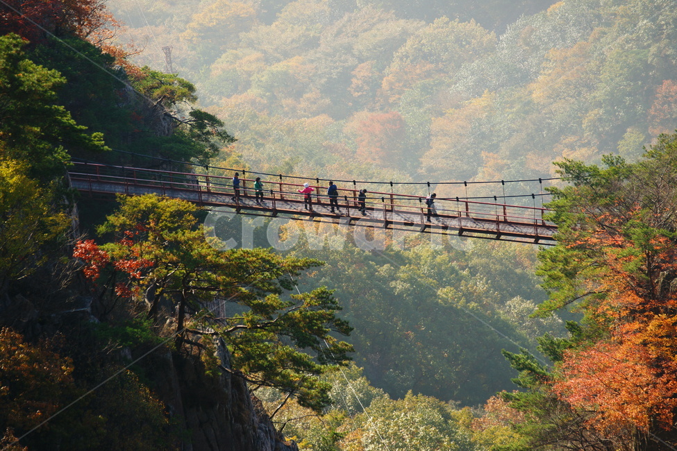 대둔산,가을,풍경,구름다리,단풍,가을,계절,fall,autumn,season,자연,풍경,nature,landscape,사람들,대중,군중,other people,crowd