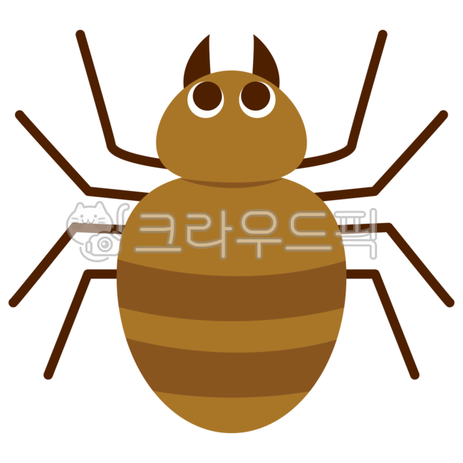거미,거미일러스트,거미그림,spider,곤충,벌레,곤충일러스트