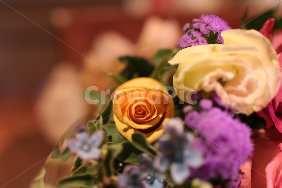 장미꽃다발,장미,노란장미,장미꽃,꽃다발,꽃,flower,기념일,축하,anniversary,congratulation,celebrate,celebration