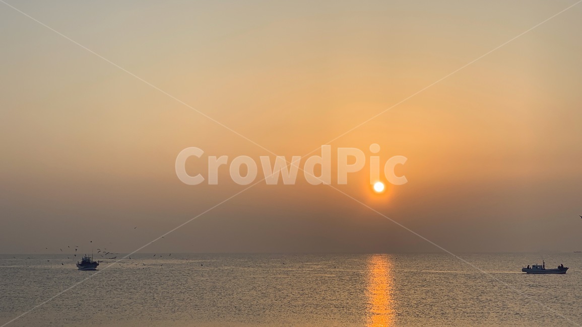 일출,해돋이,sunrise,태양,sun,새벽,dawn,수평선,horizontalline,sealine,바다,잔잔한바다,바닷가,sea,하늘,sky,갈매기,seagull,mew,gull,seamew,seagull,배,고기잡이배,ship,boat,만선,고기잡이,fullsail,자연,풍경,nature,landscape,outdoors,옥외,sunlight,햇빛