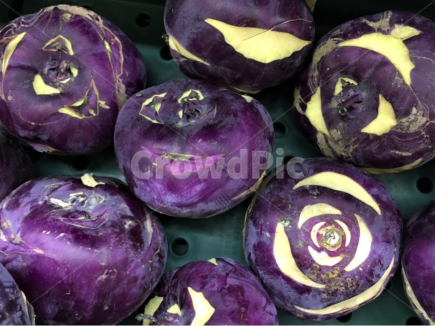 콜라비,자색,야채,채소,식자재,음식,식재료,요리,food,cook,meal,dishes,food reserves,채소,야채,vegetables