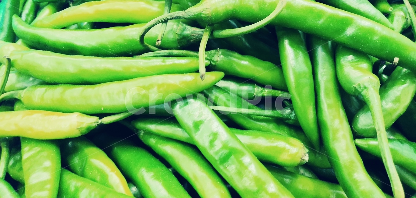 고추,채소,음식,반찬,food