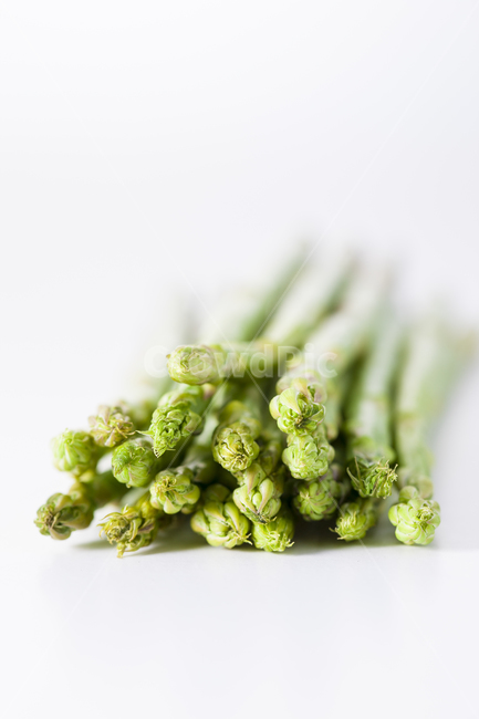 아스파라거스,asparagus,아스파라거스누끼,누끼,채소,plant,식물,vegetable,야채,food,식품,채소,야채,vegetables,연출,컨셉,콘셉,direction,concept