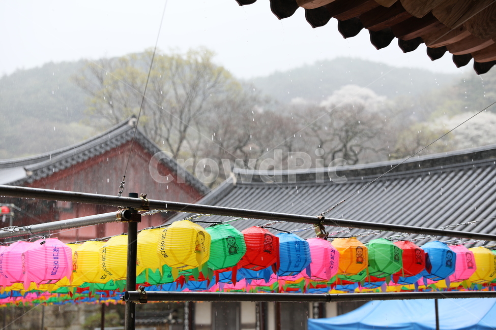 구례,화엄사,사찰,전통가옥,절,한국전통,한국문화,korean traditional,korean culture,종교,신앙,religion,belief,faith,비,비오는날,rain,rainy