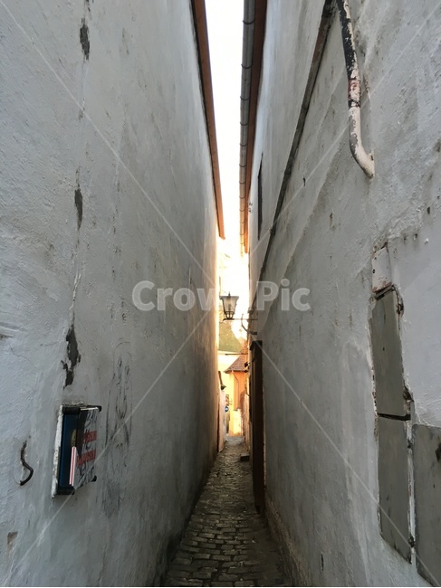 walkway,보도,path,통로,골목