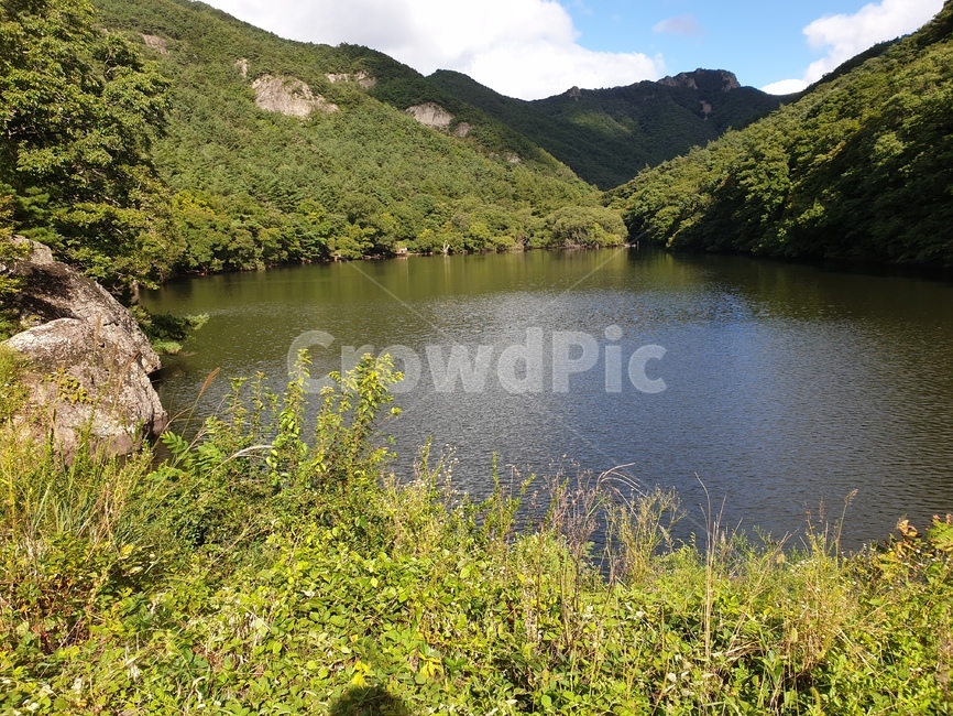 청송,주산지,자연,숲,nature,water,outdoors,옥외,물,산,풍경,경관,자연경관