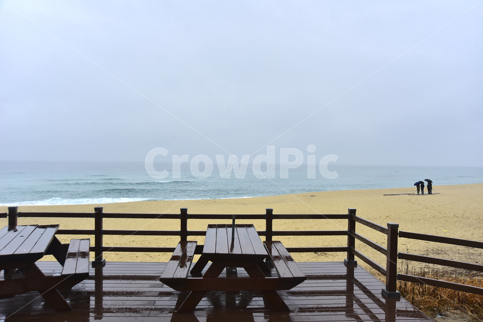 바닷가,파도,바다,동해바다,사람들,해안가,모래밭,sandybeach,coast,seashore,seaside,한국자연풍경,풍경,deck,landscape,모래사장,해수욕장,데크,쉼터,휴식처,나무의자,테이블,나무,해송,푸른하늘,포말,바다풍경,물,water,background,백그라운드,배경,바탕,옥외,야외,outdoor,healing,nature,자연,비오는날,우산