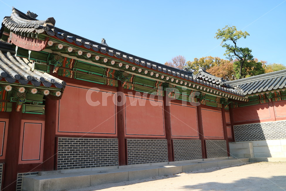 서울,창덕궁,궁궐,전통,단청,한국전통,한국문화,korean traditional,korean culture,건축물,건물외관,exterior,building,structure,architecture,construction
