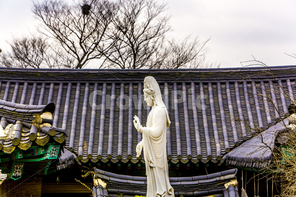 미륵불,입상,사찰,불교,전통,기와,선,한국전통,한국문화,korean traditional,korean culture,조각상,동상,석상,조형물,statue,bronze statue,stone statue,종교,신앙,religion,belief,faith,건축물,건물외관,exterior,building,structure,architecture,construction