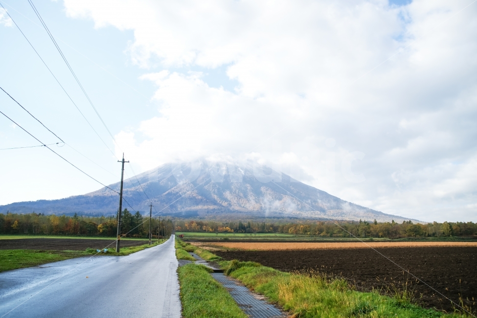 가을,단풍,길,산,설산,구름,하늘,전봇대,전선,자연,풍경,nature,landscape,시골,마을,country,rural,town,road,도로,highway,고속도로,freeway,고속 도로