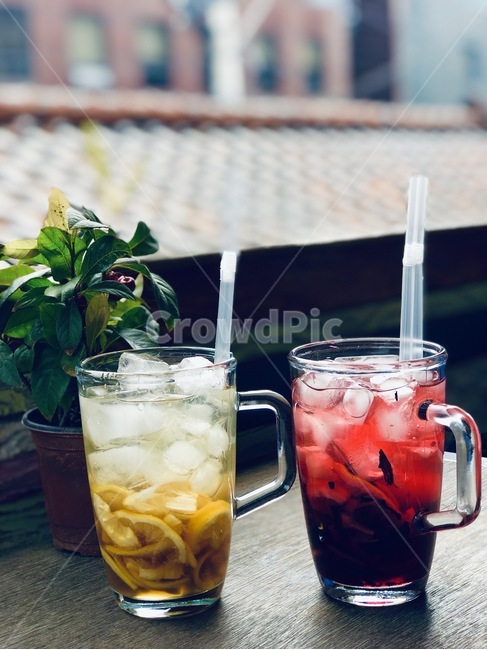 카페,음료,여름,아이스티,cafe,drink,summer,음료수,drink,beverage