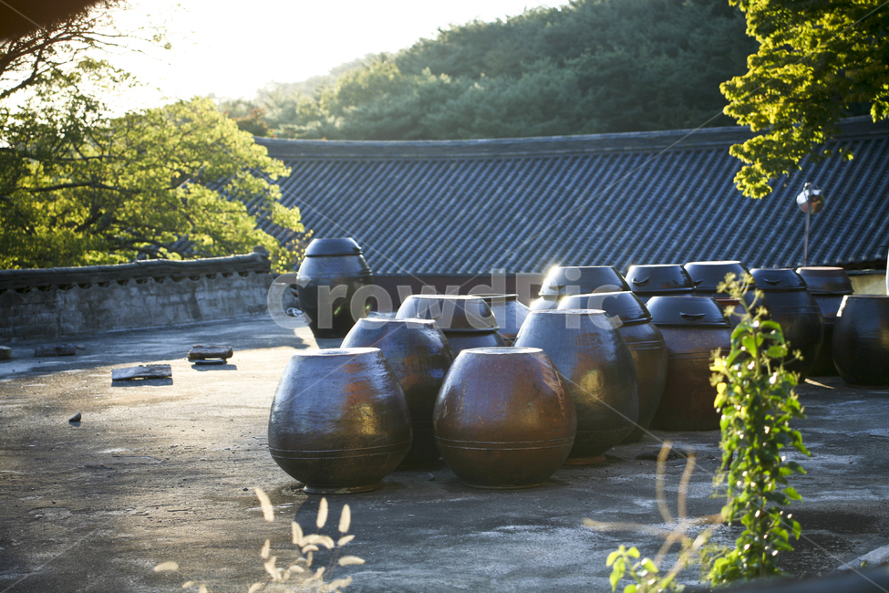 옹기,기와지붕,역광,장독,풍경,가을,한국전통,한국문화,korean traditional,korean culture