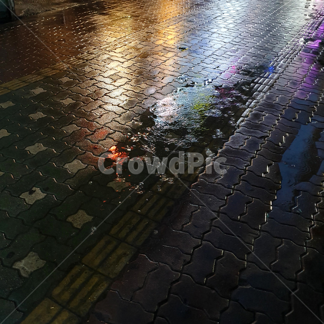 비오는날,보도블럭,불빛,비,밤,rain,인도,sidewalk,light,night,rainy
