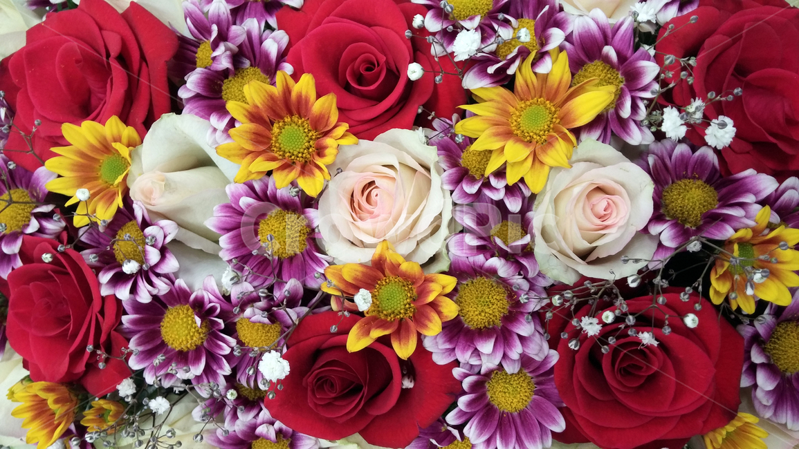 꽃,꽃다발,꽃배경,배경화면,flowers