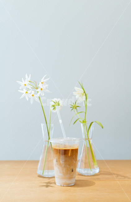 카페라떼,꽃,커피,깨끗,배경,햇살,그림자,봄,테이블,따뜻,꽃병,하늘,에스프레소,빨대,일회용품,아이스,cafe,coffee,flower,인테리어,healing,sunshine,morning,shadow,table,cafelatte,우유,sensitive,cup,cool,ice,정면,힐링,카페,병,커피,카페,coffee,cafe,감성,sensible,feeling