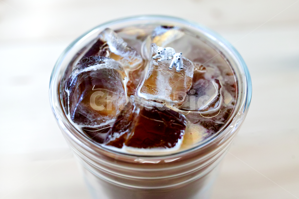 커피,아이스커피,아이스아메리카노,북극곰,아기곰,백곰,얼음,여름음료,ice,icecoffee,coffee,cafe,커피,카페,coffee,cafe