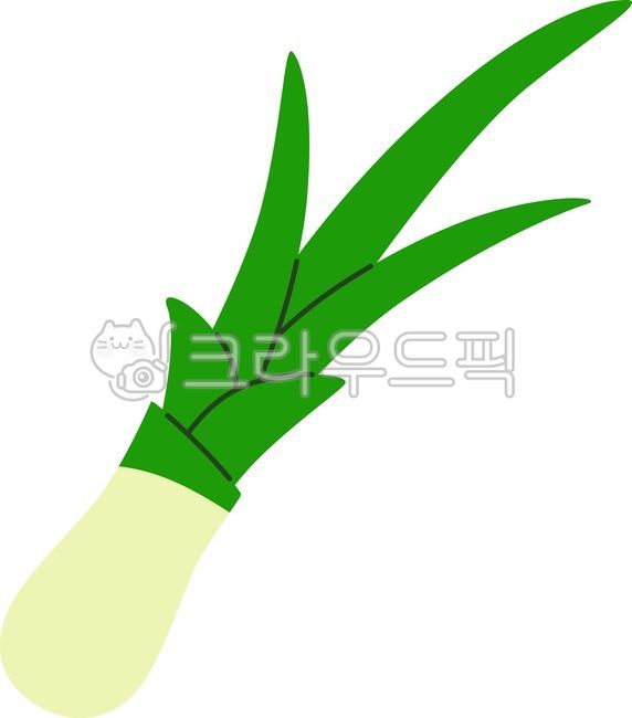 대파, 파, 채소, 야채, 식재료, 사진,이미지,일러스트,캘리그라피 - Lasha작가