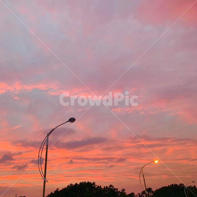 lamppost,램프포스트,outdoors,nature,옥외,자연,sky,하늘,핑크하늘,분홍하늘,노을,풍경,감성,자연,풍경,nature,landscape,lamp post,램프 포스트