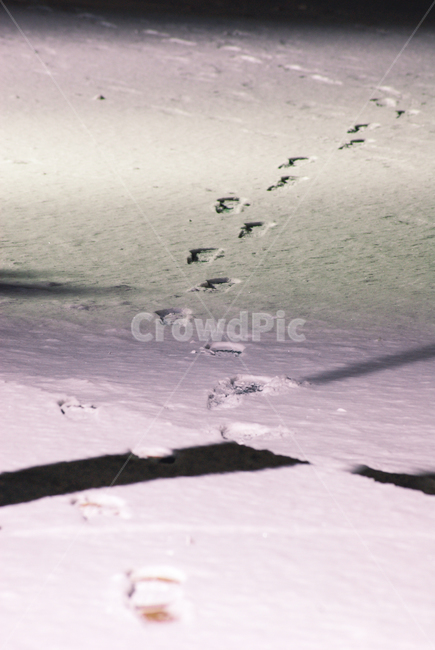 발자국,눈자국,겨울,눈,밤,밤풍경,감성사진,street,foodprint,snow,night,winter,겨울,계절,winter,season