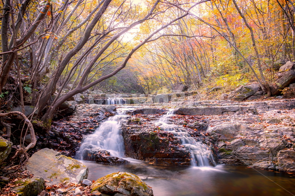 계곡,장노출,가을,단풍,단풍계곡,landscape,자연,물,가을,계절,fall,autumn,season,자연,풍경,nature,landscape,water,outdoors,옥외