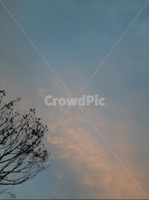 nature,자연,silhouette,실루엣,outdoors,옥외,하늘,구름,저녁하늘,새벽하늘,저녁