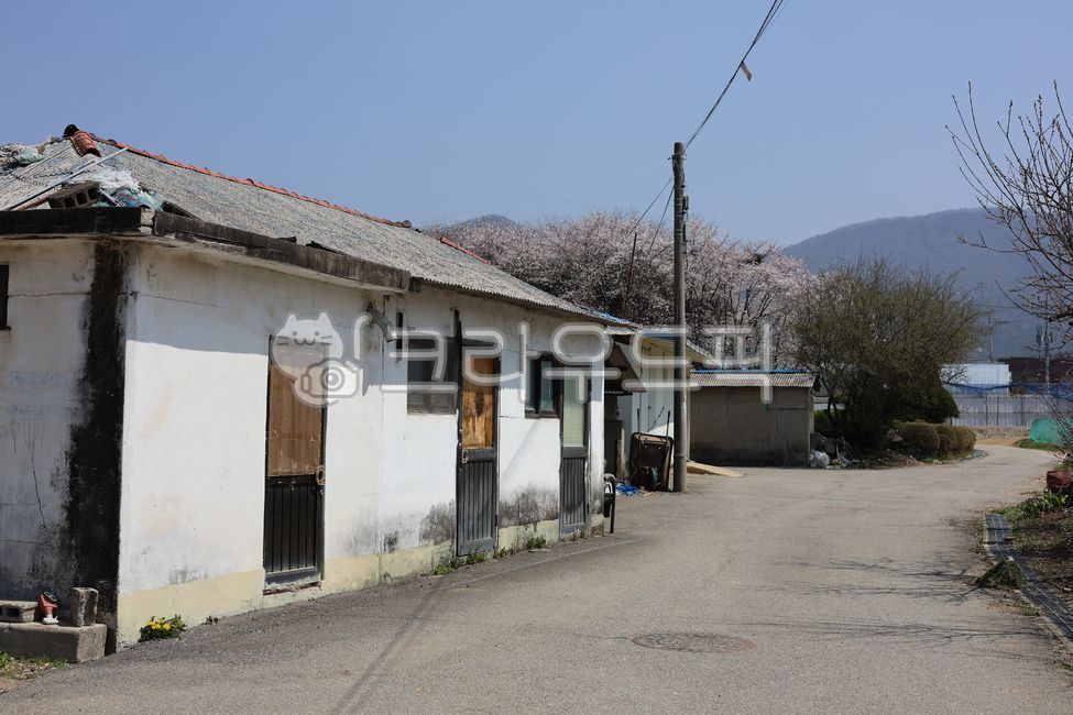 시골풍경,한국시골,농촌풍경,시골마을,고즈넉한,한적한마을,시골길,옛날집,농가,시골생활,포근한시골,ruralkorea,koreancountryside,rurallandscape,traditionalvillage,countrysidelandscape,villagehouse,slowlife,oldkoreanhouse,vintagekorea,rurallifestyle,oldtimevibe