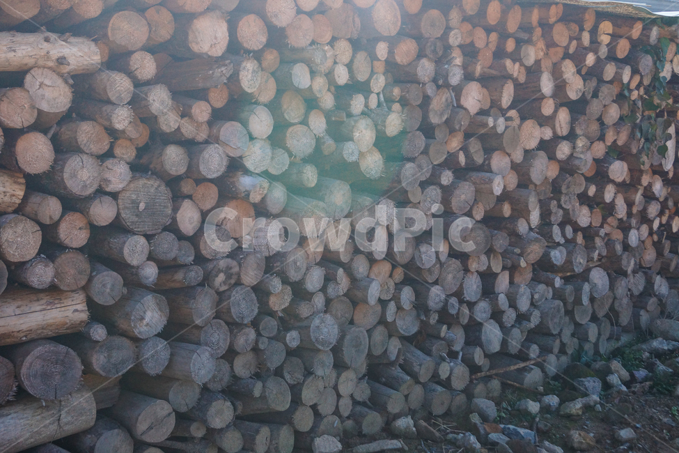 나무,장작,캠핑장착,화목난로장작,참나무장작,나무,trees,wood