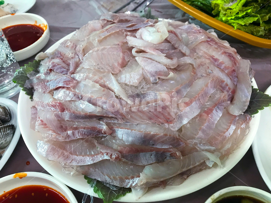회,감성돔,돌돔,줄돔,날것,음식,food,어류,해산물,물고기,생선회,신선한,식사,횟감,날생선,음식,식재료,요리,food,cook,meal,dishes,food reserves,수산물,해산물,fishery products,seafood