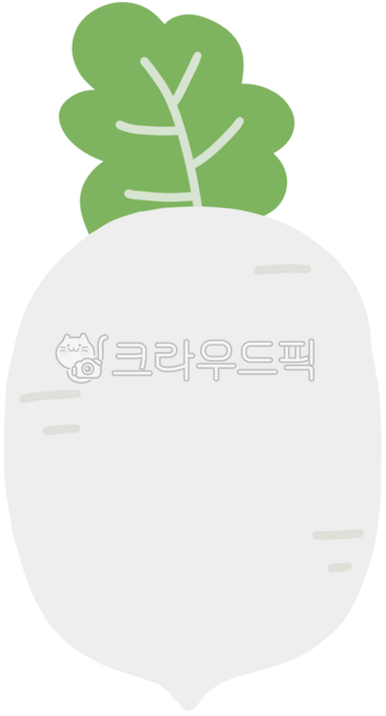 김치재료무,가을무,통무,식재료무,요리재료무,무손그림,김장속무,무우,무생채,채소무,김장무우,무일러,무,무일러스트,김장무,석박지무,김장철,겨울무,무농사,무김치,큰무,김치