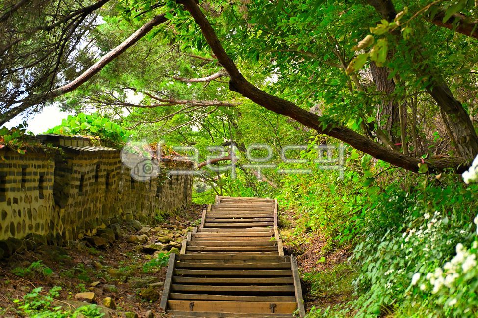 background,beautiful,clean area,clouds,countryside,eco-friendly,environment,flowers,green,landscape,mountain
