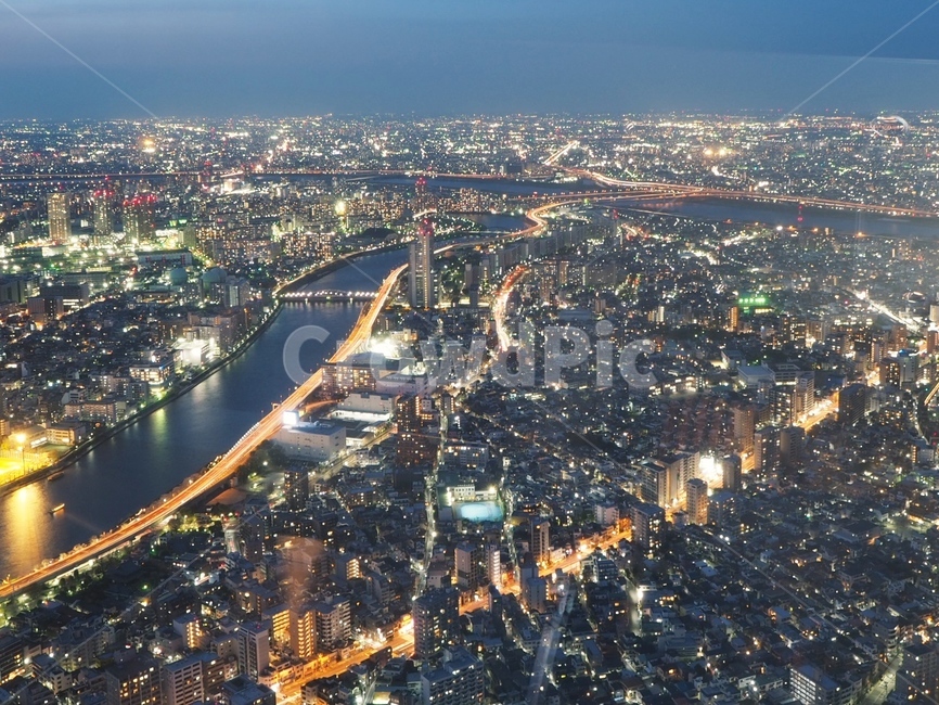야경,전망대,도쿄,일본,스카이트리,야경,밤,풍경,nightscape,night,landscape,도시,city,해외,외국,세계,foreign,oversea,world,세계도시풍경,해외도시풍경,외국도시풍경,world cityscape,outdoors,옥외,nature,자연,경치,scenery,aerial view,조감도