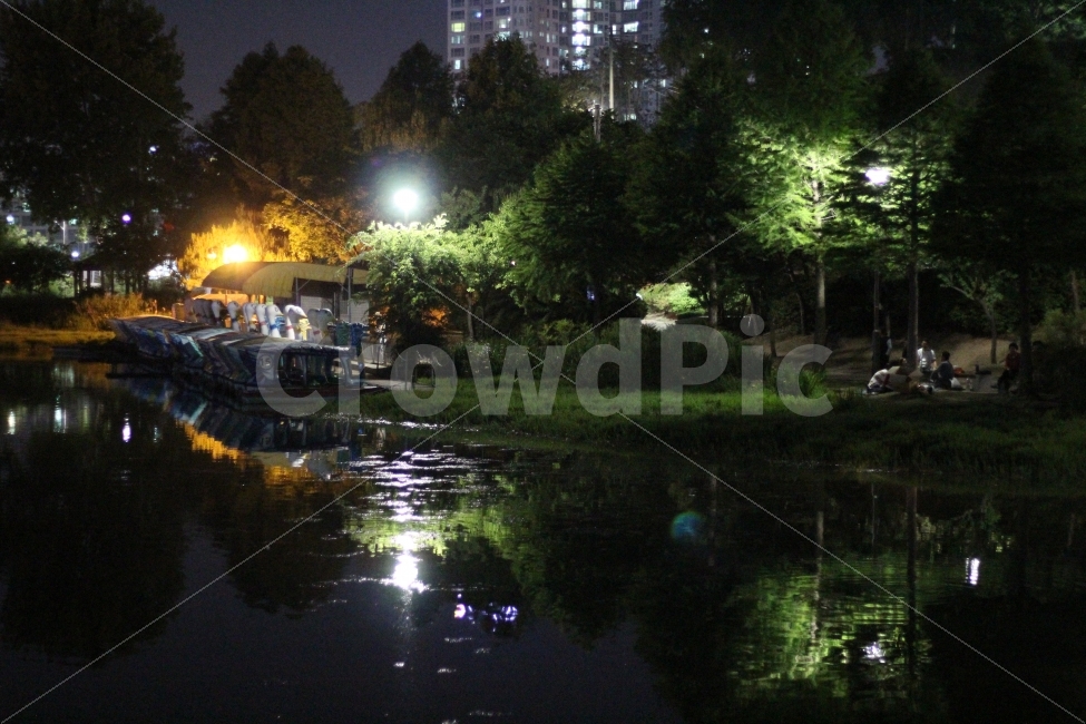 공원,야경,호수,연못,나무,도시,풍경,city,landscape,야경,밤,nightscape,night,water,물,outdoors,옥외,flare,플레어,light,빛