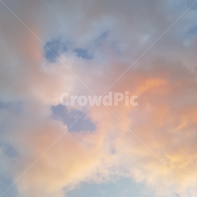 하늘,nature,자연,weather,날씨,outdoors,옥외,구름