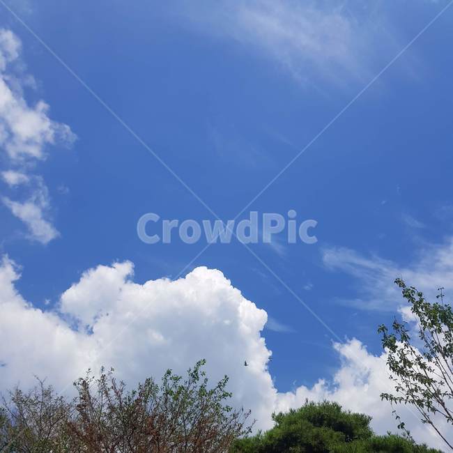 구름,하늘,맑은,sky,푸른하늘,자연,azuresky,nature,여름