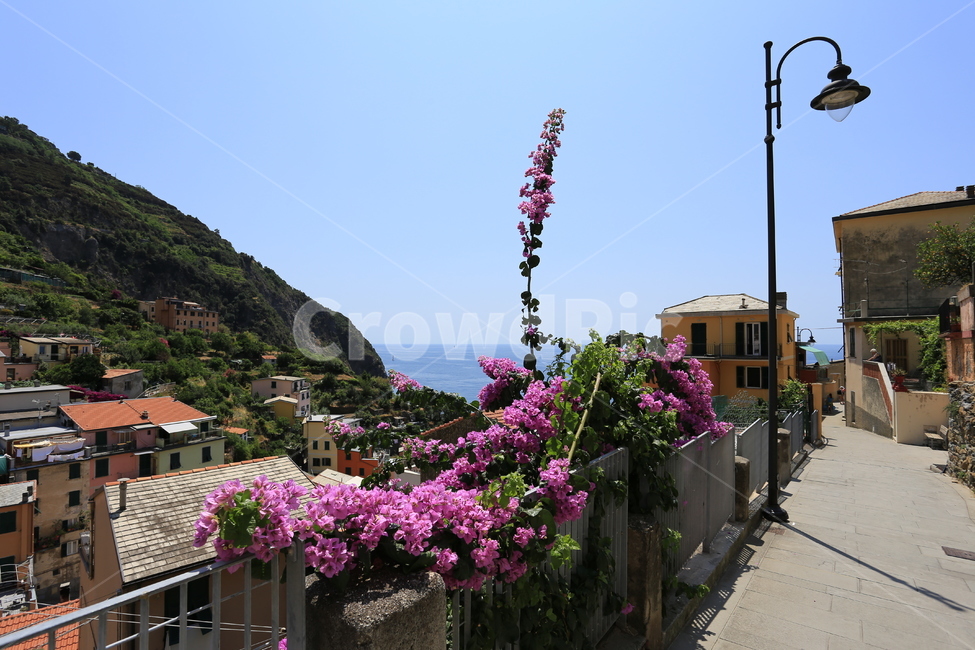 이태리,이탈리아,친퀘테레,italy,cinqueterre,마나롤라,리오마지오레,몬테로소알마레,베르나차,코르닐리아